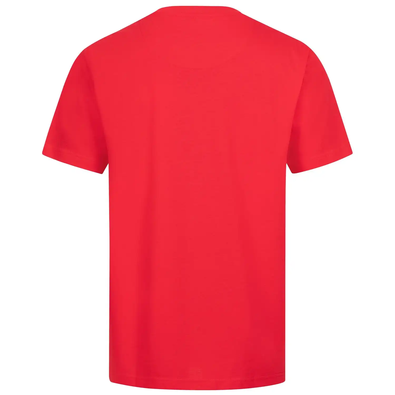 Herren T-Shirt "MOTION TEX PLUS" in Rot, L - Thumbnail 2