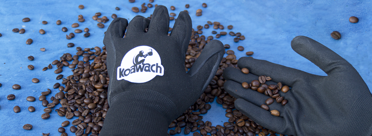 Handschuhe