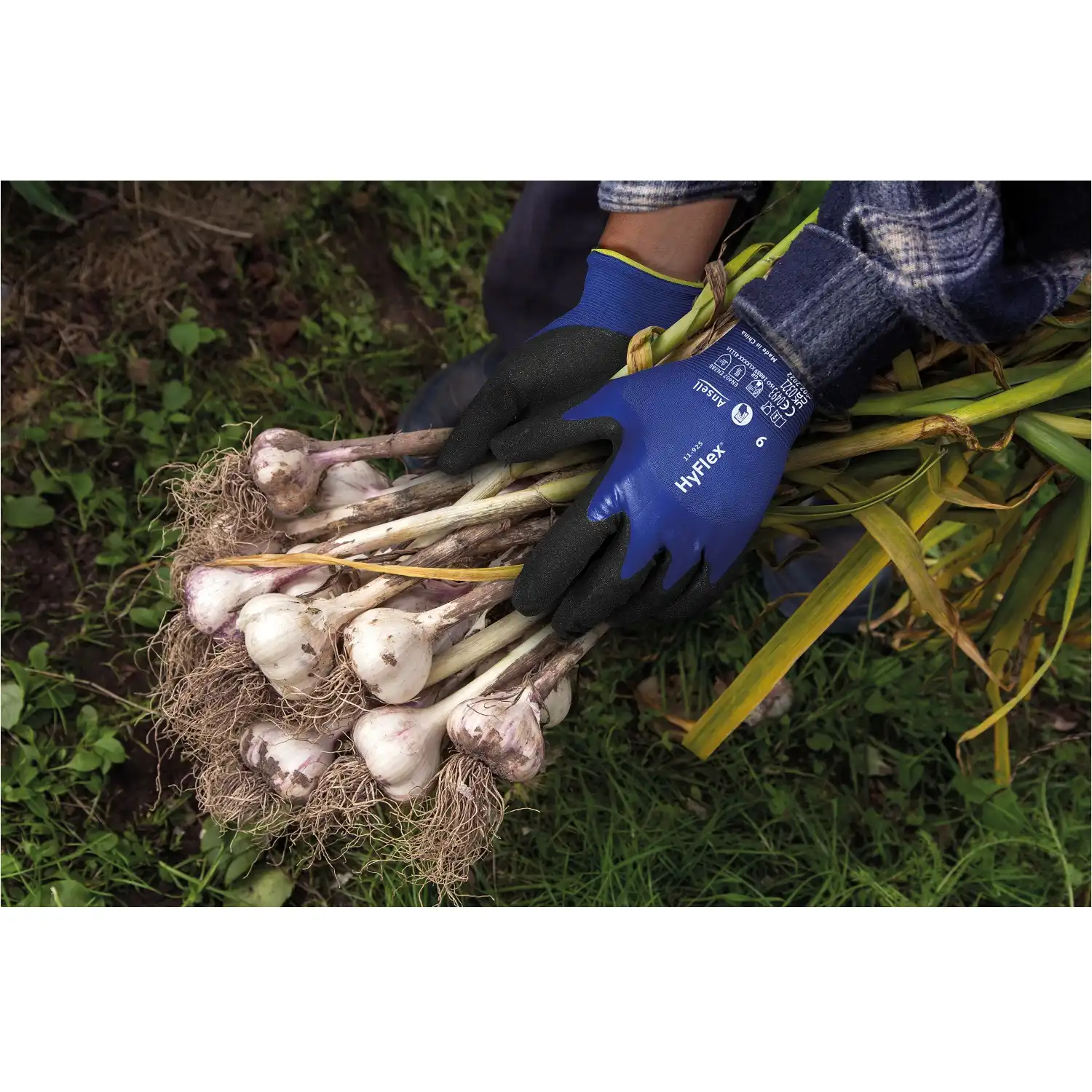 Nitril Arbeitshandschuhe "HyCron®" 27-602 in 8 (M) - Thumbnail 2