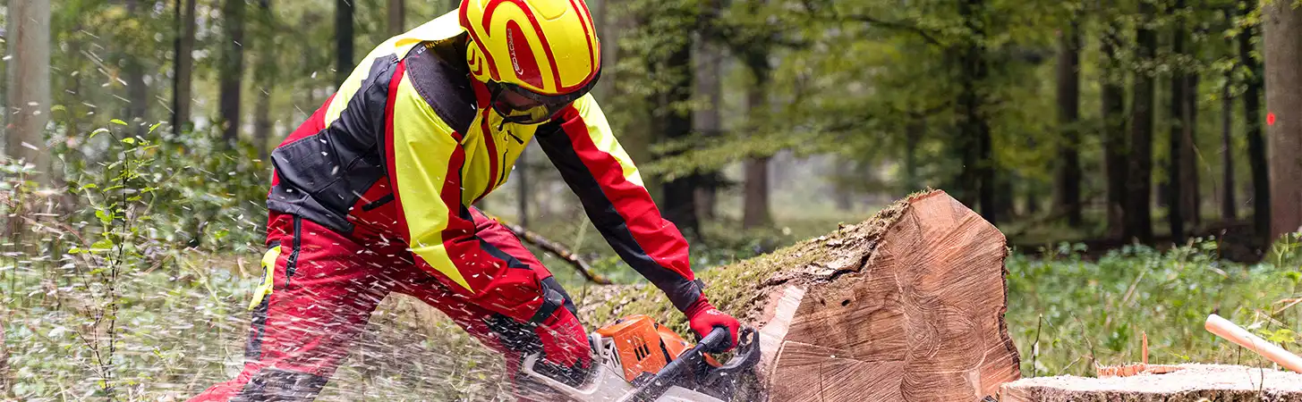 Protos Forsthelm kaufen