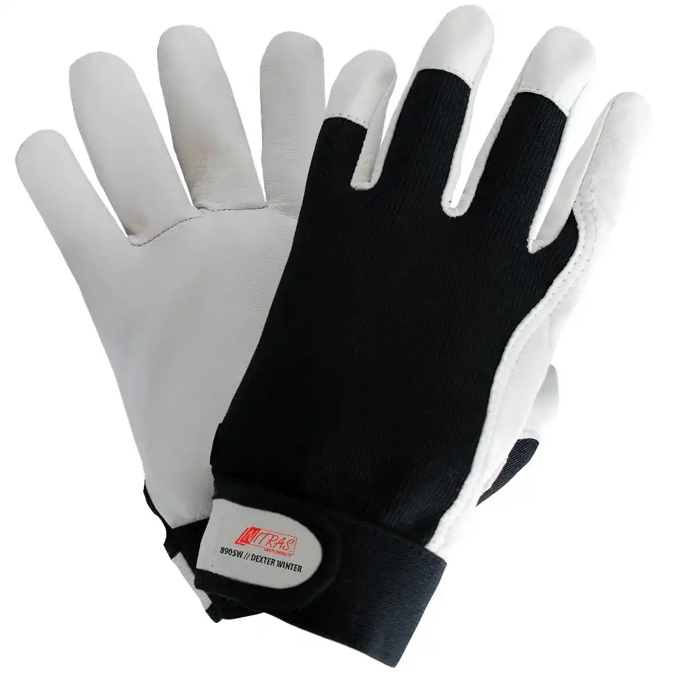 Nappaleder Winterhandschuhe "DEXTER WINTER" - NITRAS® in 11 (XXL) - Thumbnail 1