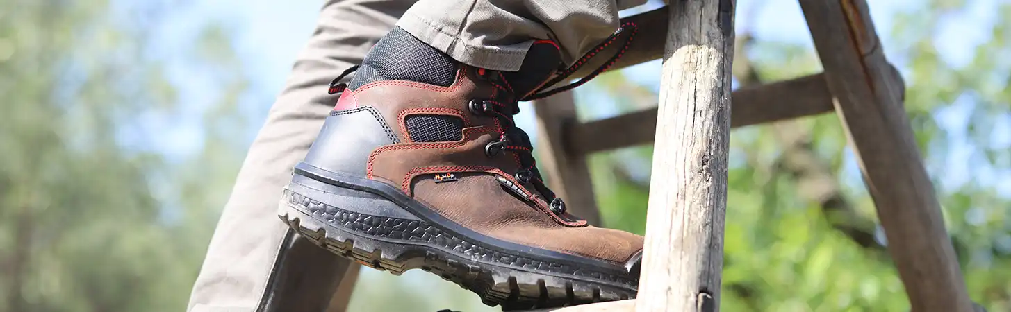 Base protection Produkte kaufen