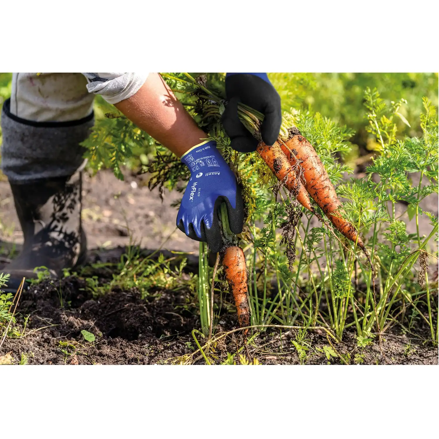 Nitril Arbeitshandschuhe "HyCron®" 27-602 in 8 (M) - Thumbnail 3