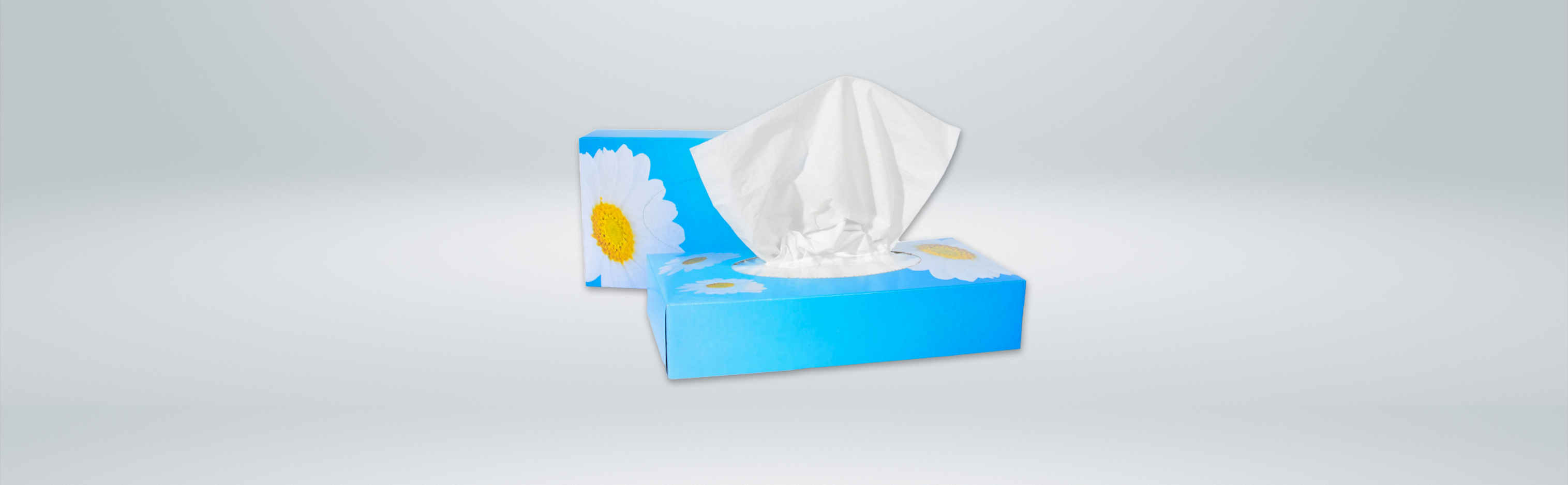 Plock Produkte kaufen