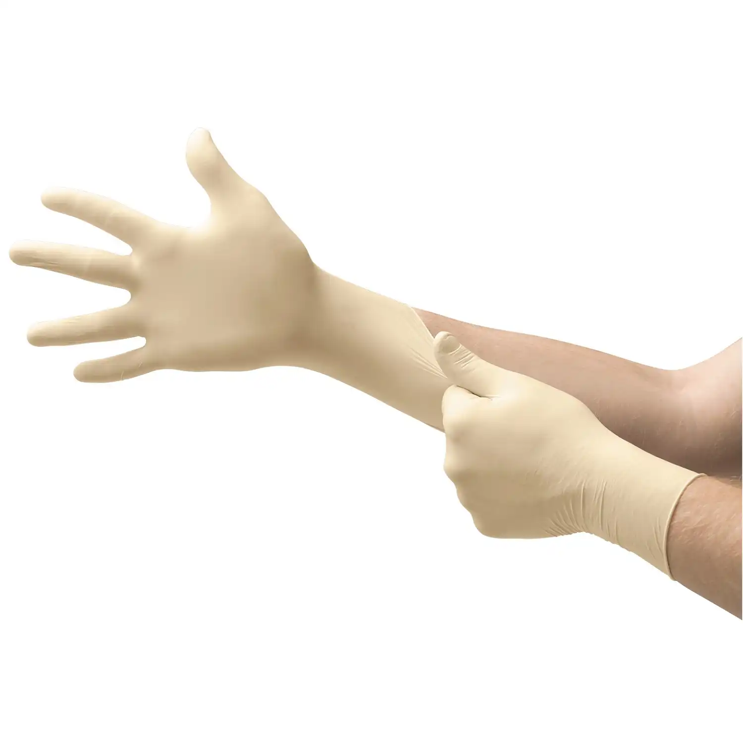 Latex Einweg Handschuhe TouchNTuff® 69-318 | 100 Stück pro Box in 9 (L) - Thumbnail 2