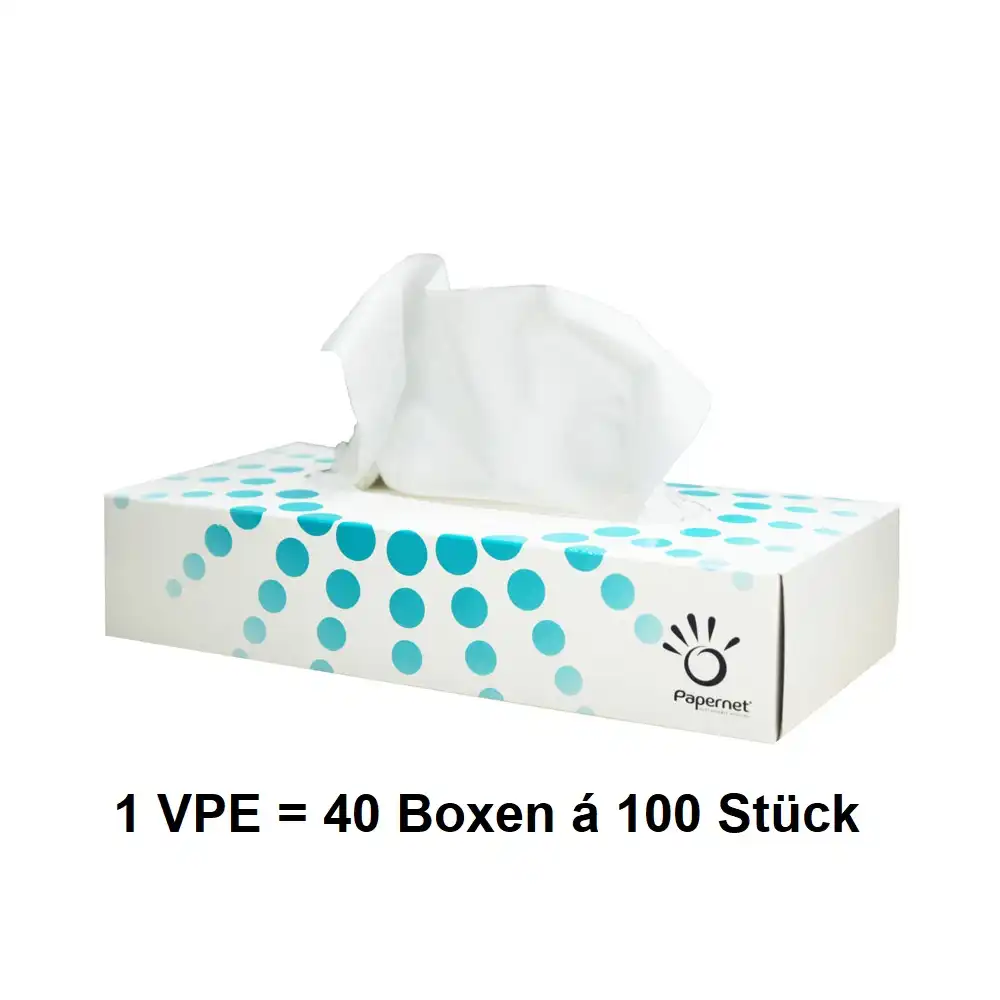 Kosmetiktücher 2-lagig| 40 Boxen á 100 Stück = 4000 Tücher - Thumbnail 1