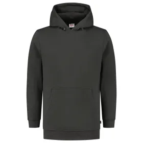 Kapuzen-Sweatshirt &quot;301019&quot; Casual L, dark grey